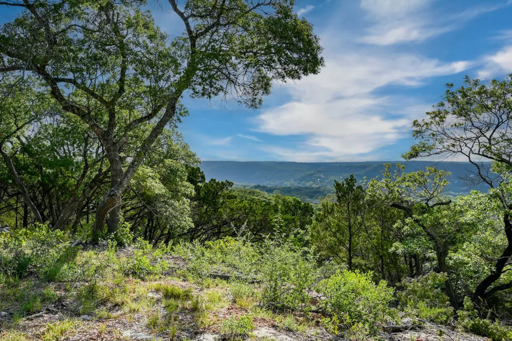 10909 Turkey Bend Drive Jonestown, TX 78645