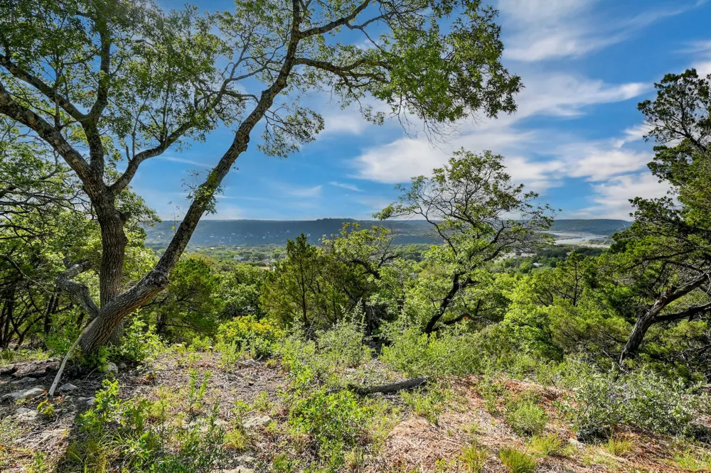 10909 Turkey Bend Drive Jonestown, TX 78645