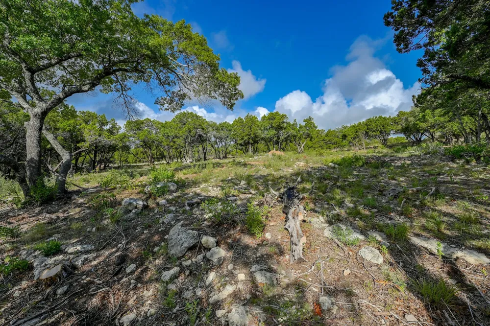 10909 Turkey Bend Drive Jonestown, TX 78645