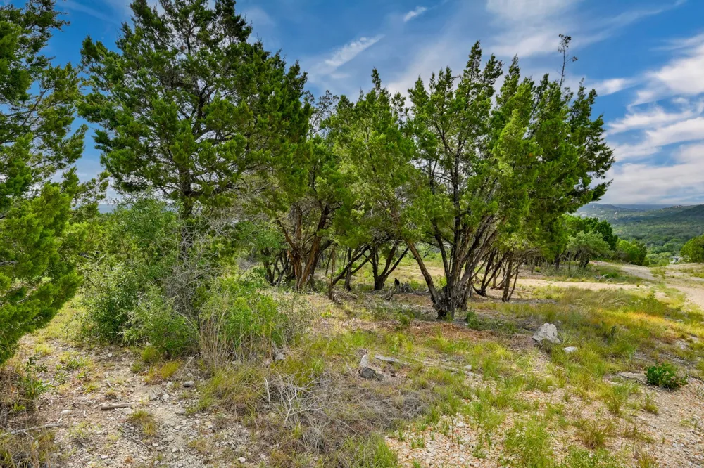 10909 Turkey Bend Drive Jonestown, TX 78645