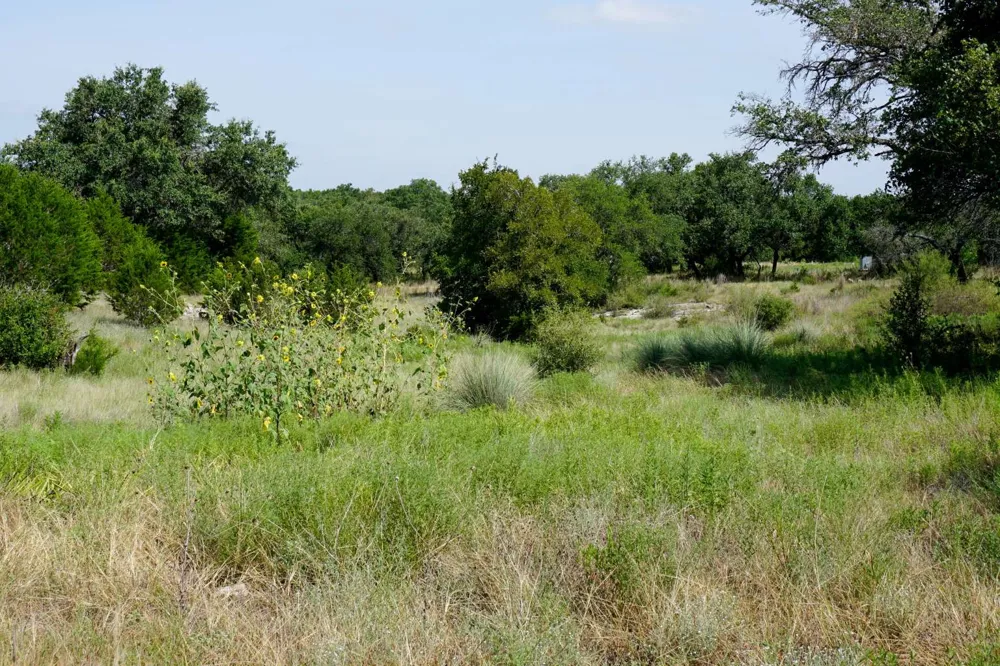 5434 County Road 335 Burnet, TX 78611