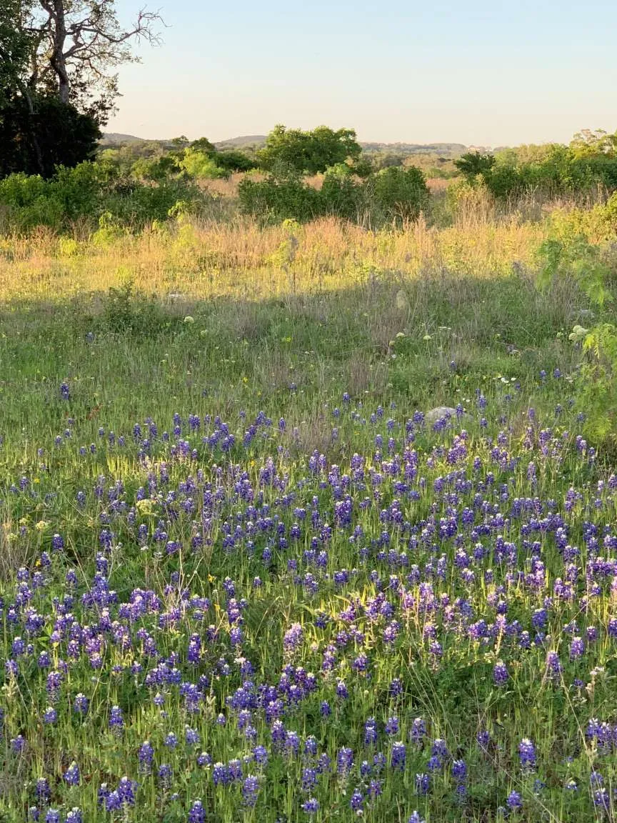 5434 County Road 335 Burnet, TX 78611