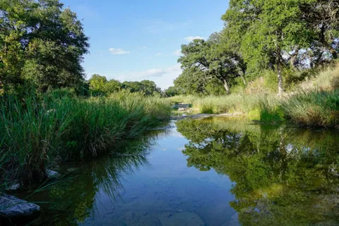 5434 County Road 335