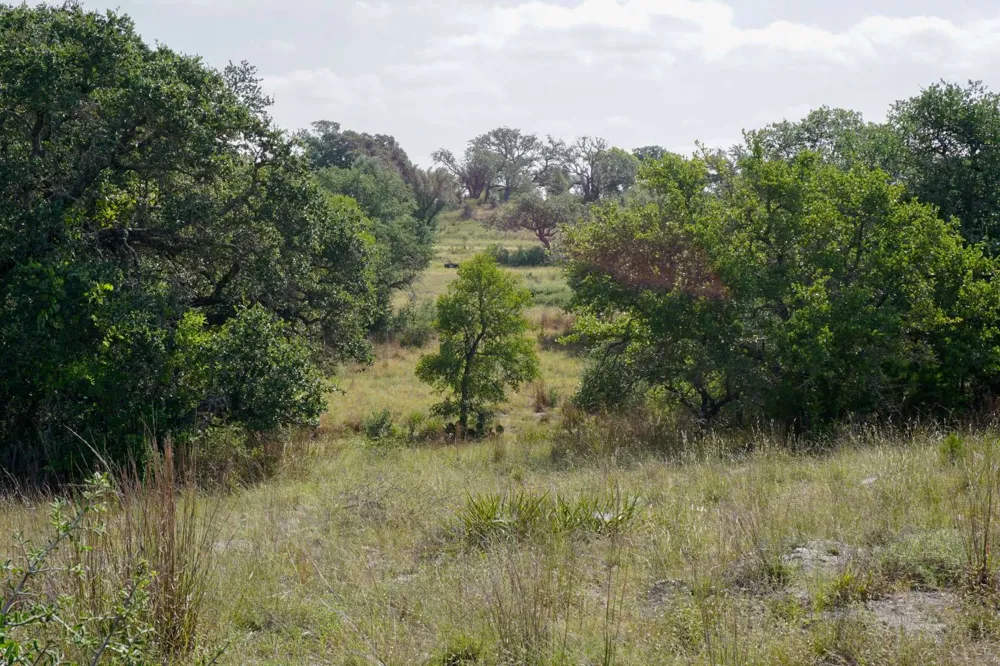 5434 County Road 335 Burnet, TX 78611