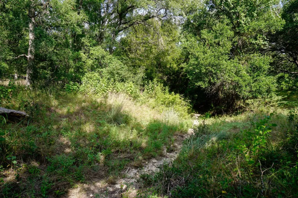 5434 County Road 335 Burnet, TX 78611