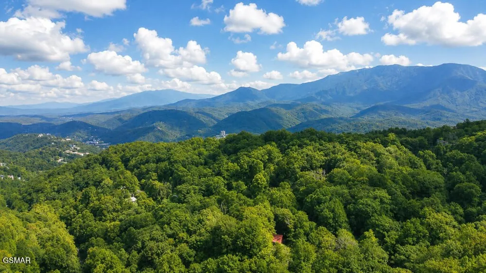 1170 Lower Alpine Way Gatlinburg, TN 37738