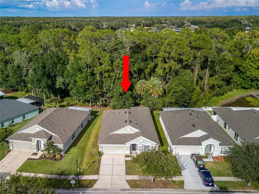 25342 LEXINGTON OAKS BOULEVARD Wesley Chapel, FL 33544