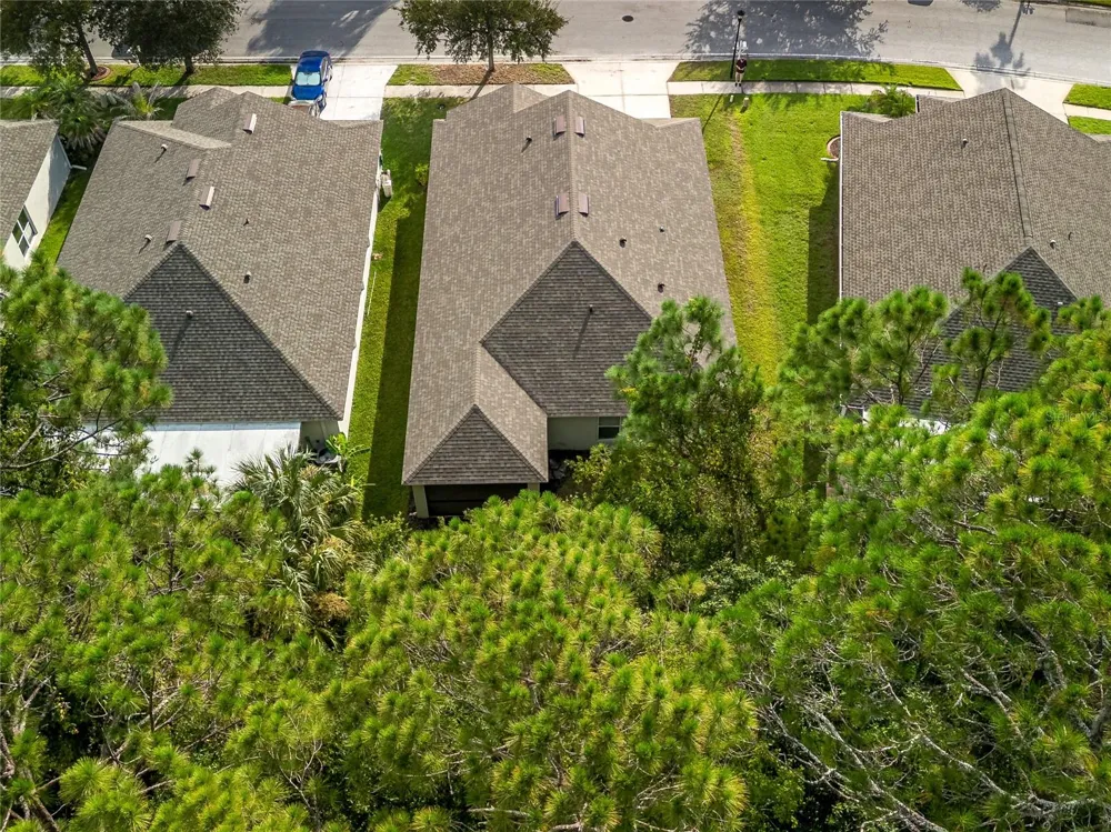 25342 LEXINGTON OAKS BOULEVARD Wesley Chapel, FL 33544
