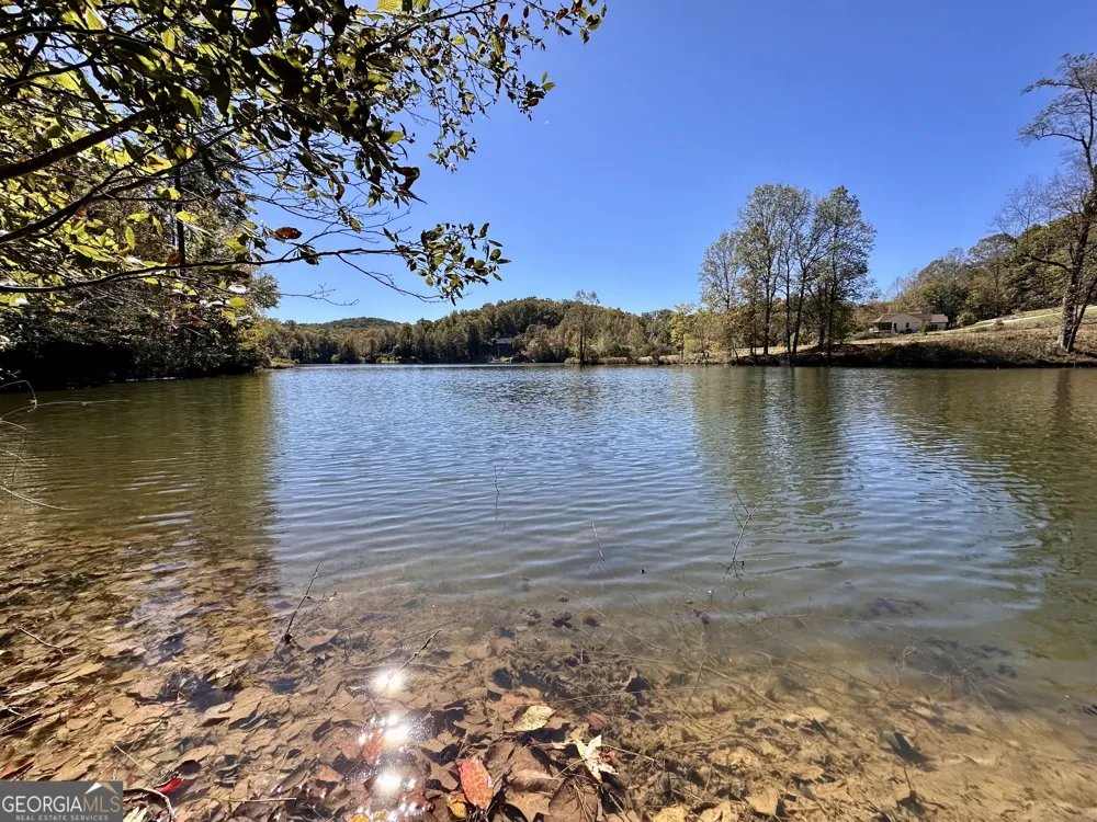 29 Forked Leaf RD Cleveland, GA 30528