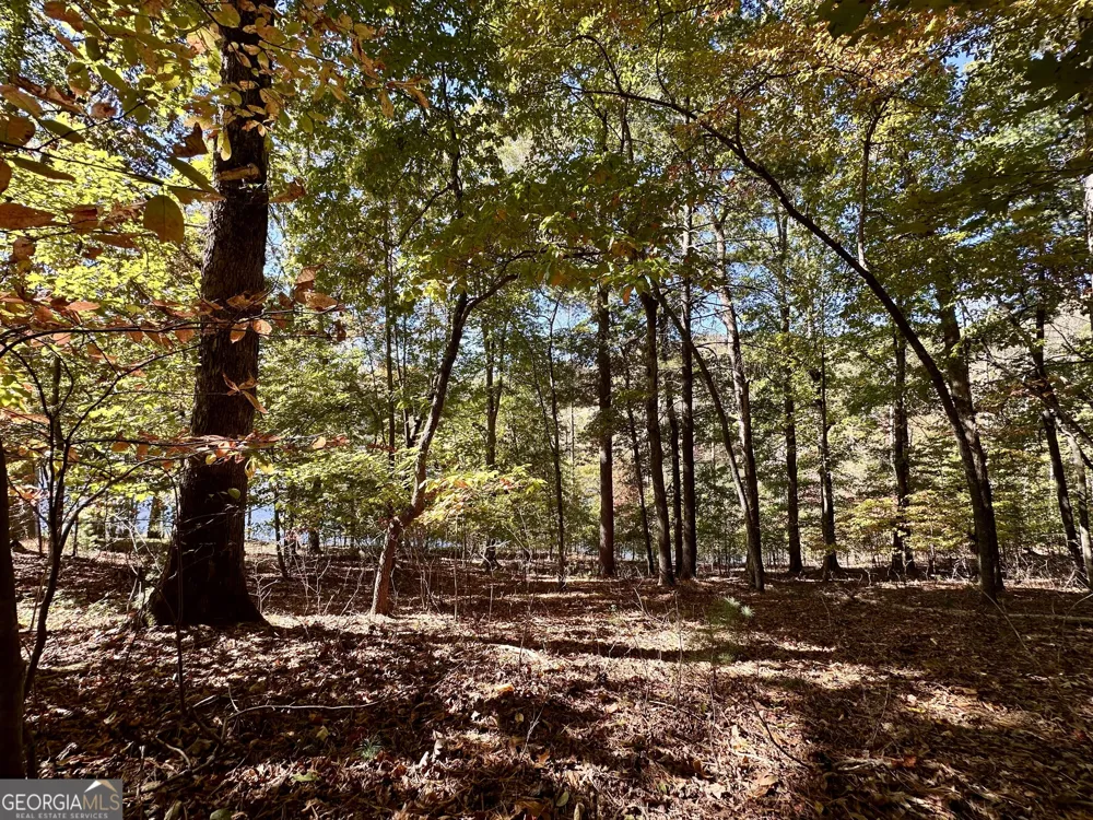 29 Forked Leaf RD Cleveland, GA 30528