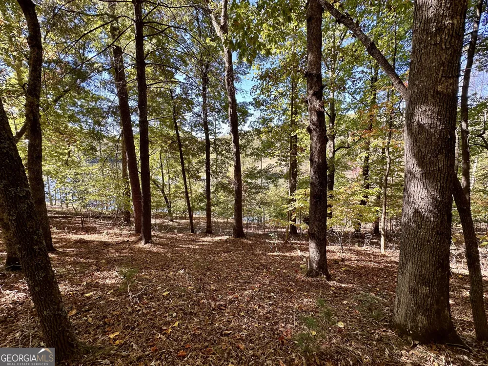 29 Forked Leaf RD Cleveland, GA 30528