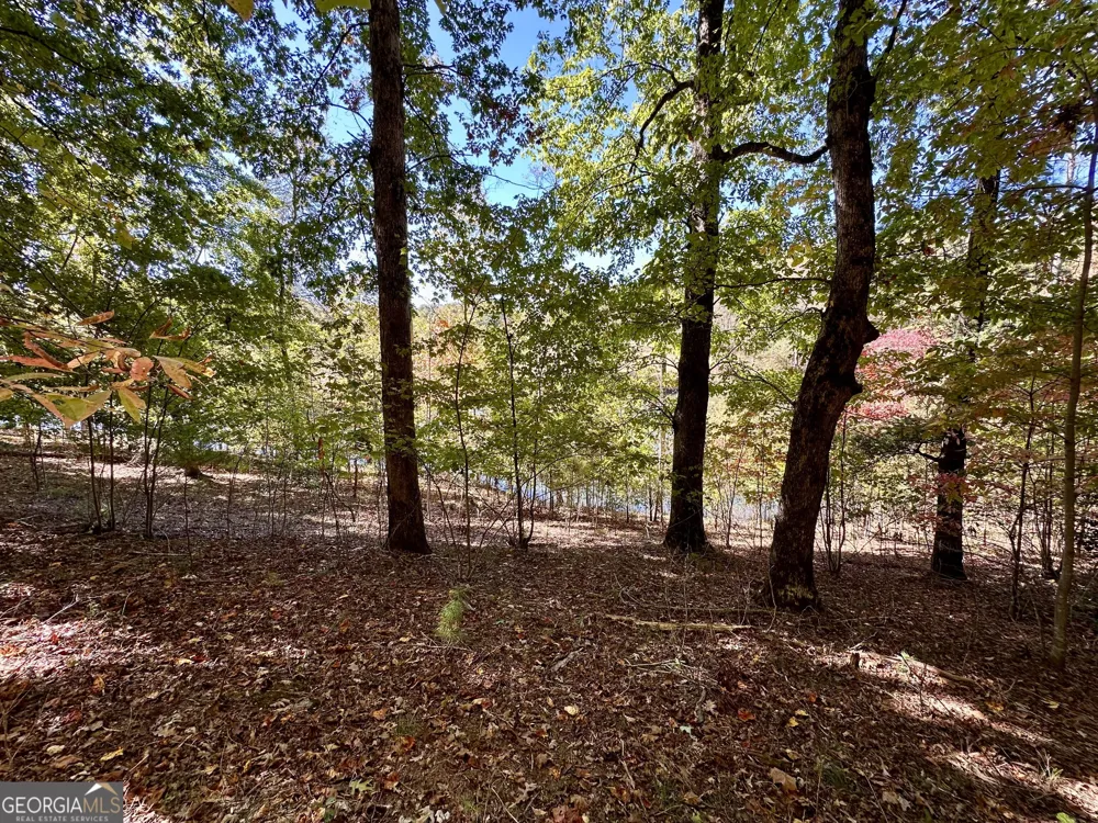 29 Forked Leaf RD Cleveland, GA 30528
