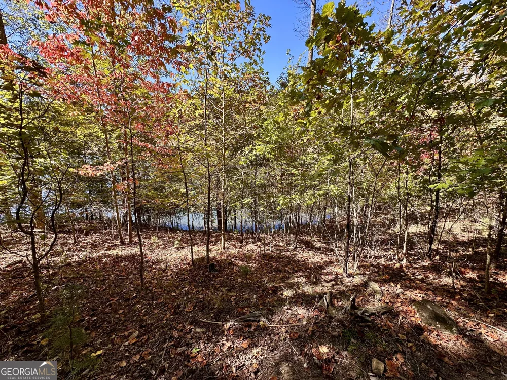 29 Forked Leaf RD Cleveland, GA 30528
