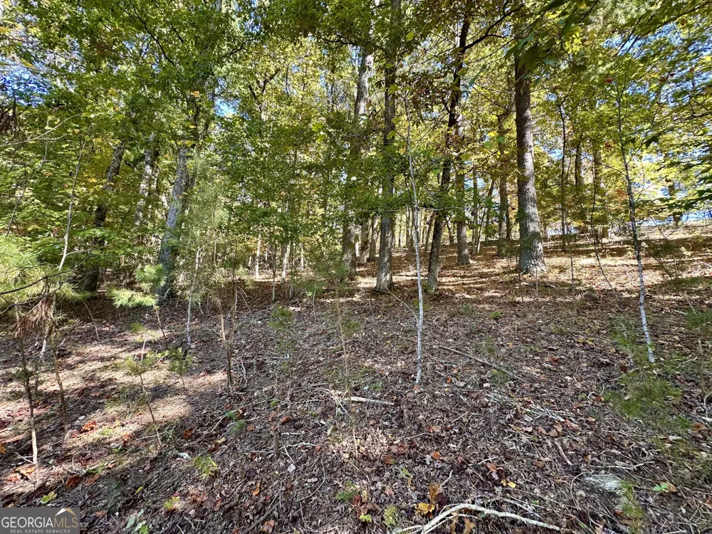 29 Forked Leaf RD Cleveland, GA 30528