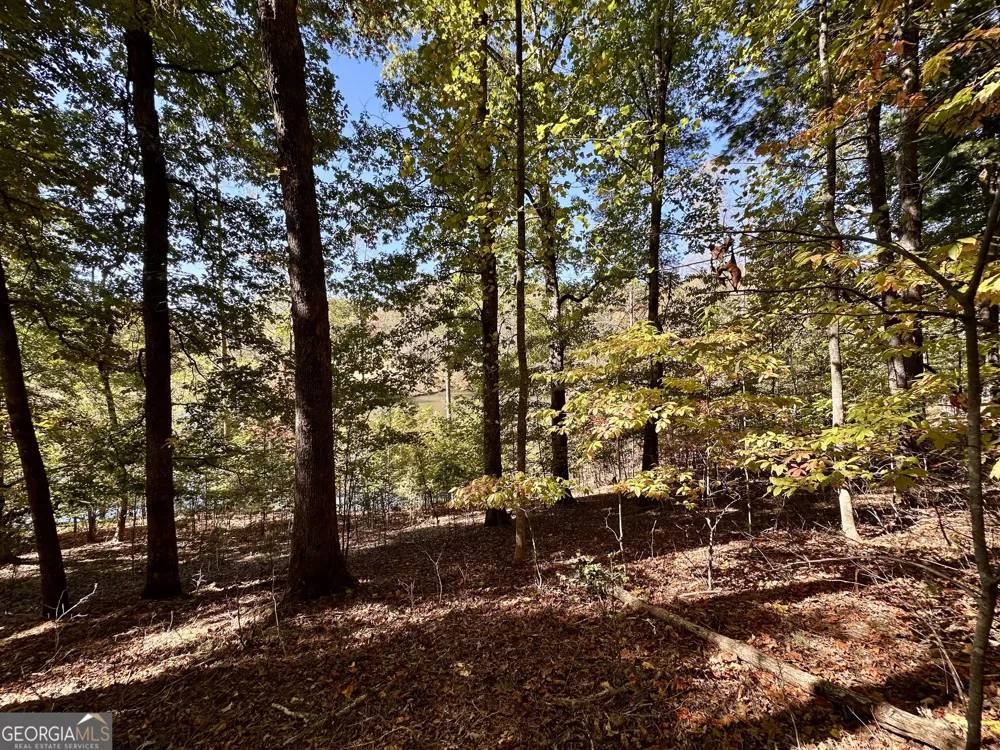 29 Forked Leaf RD Cleveland, GA 30528