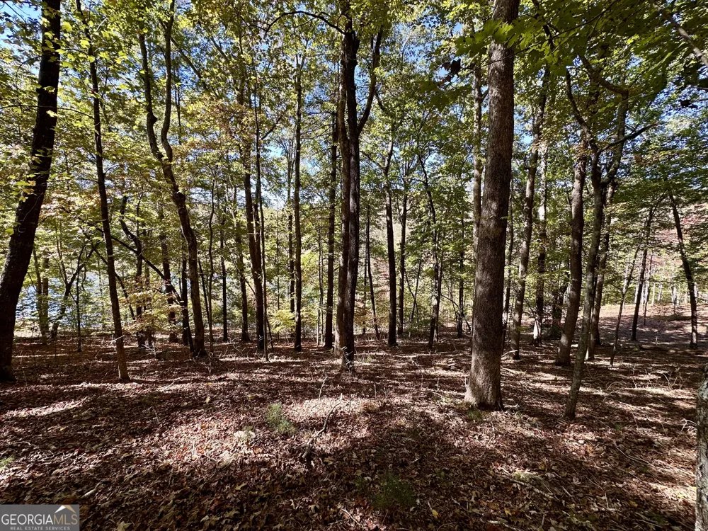 29 Forked Leaf RD Cleveland, GA 30528