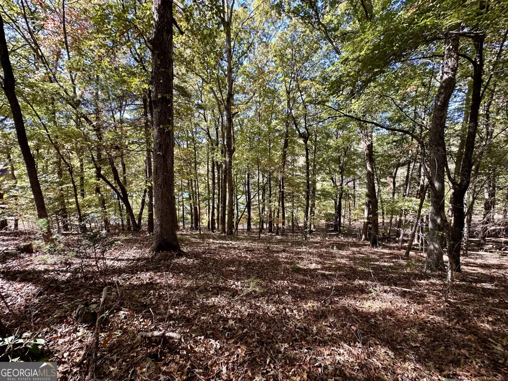 29 Forked Leaf RD Cleveland, GA 30528