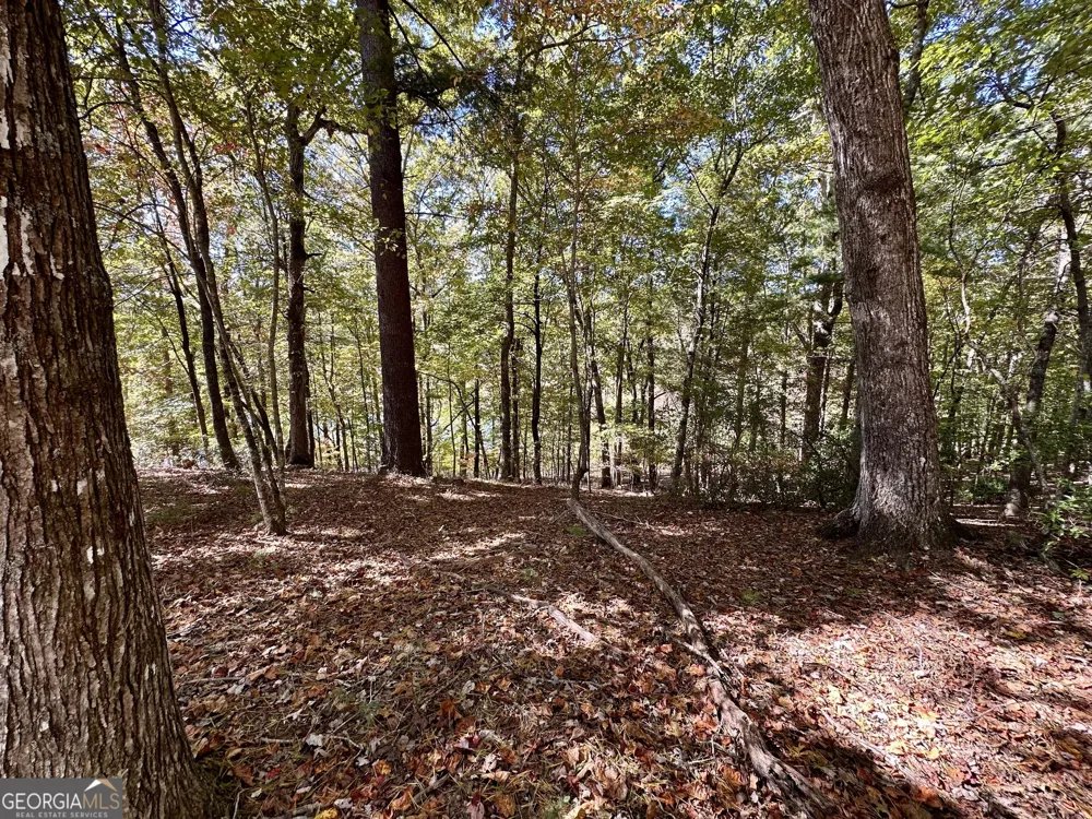 29 Forked Leaf RD Cleveland, GA 30528