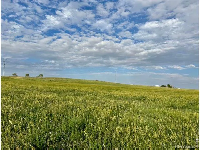 3259 W County Road 80 Wellington, CO 80549