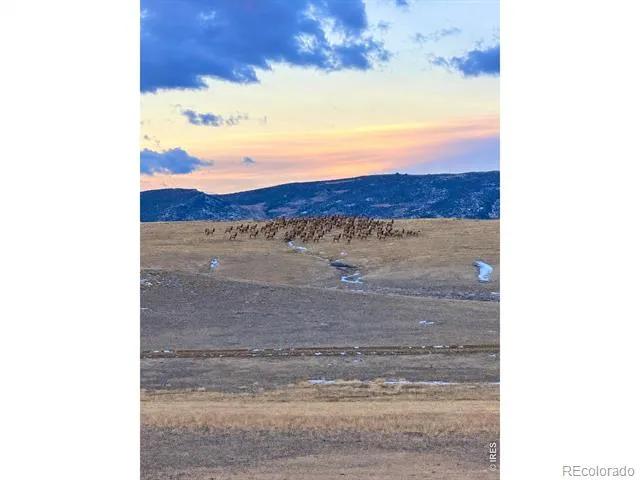 3259 W County Road 80 Wellington, CO 80549
