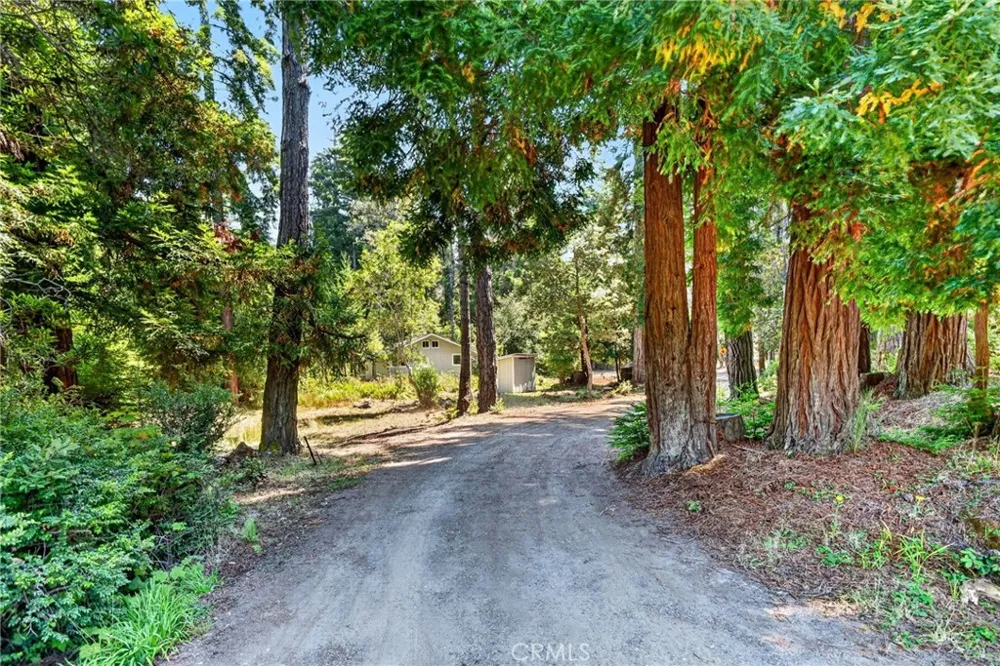 16901 Boice Fort Bragg, CA 95437