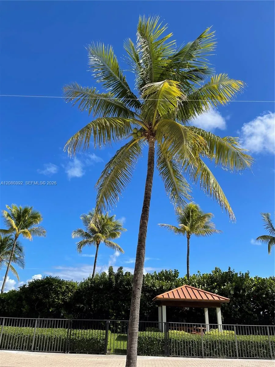 Address Not Shown Miami Beach, FL 33140
