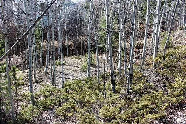 00 Spruce Street Central City, CO 80427