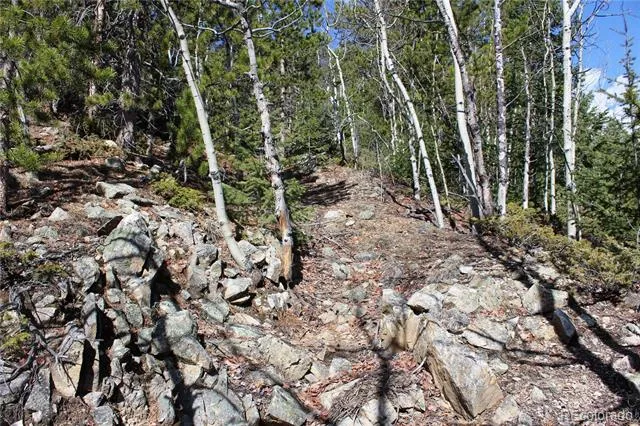 00 Spruce Street Central City, CO 80427
