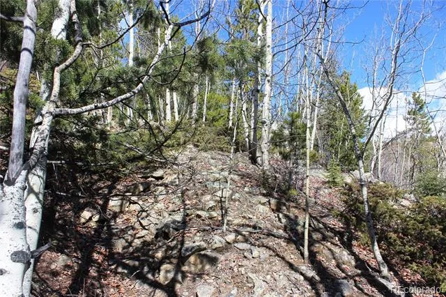 00 Spruce Street Central City, CO 80427