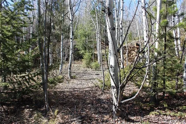 00 Spruce Street Central City, CO 80427