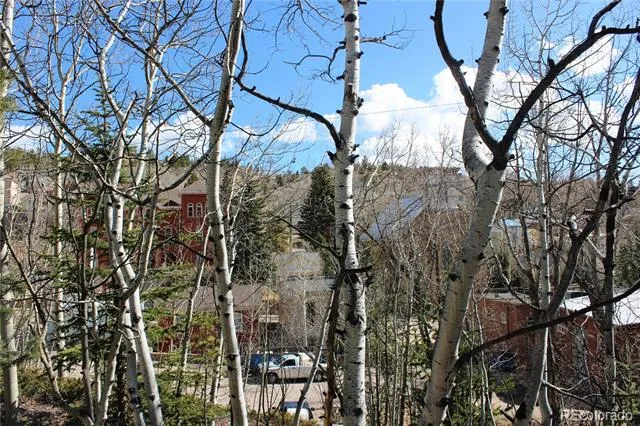 00 Spruce Street Central City, CO 80427
