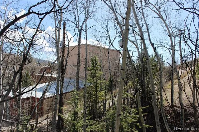 00 Spruce Street Central City, CO 80427