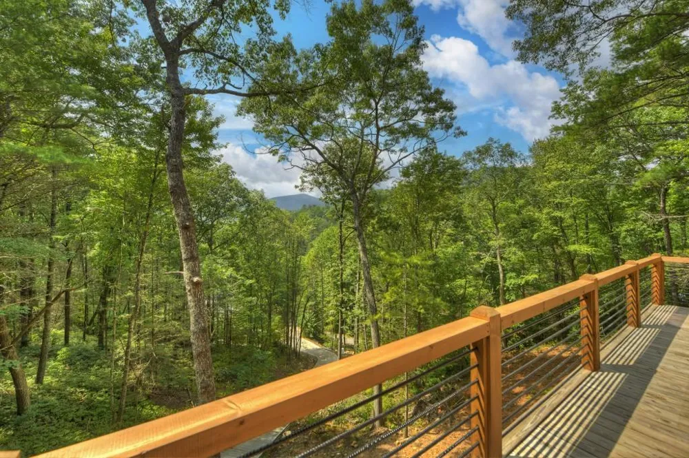 1821 Stanley Creek Road Cherry Log, GA 30522