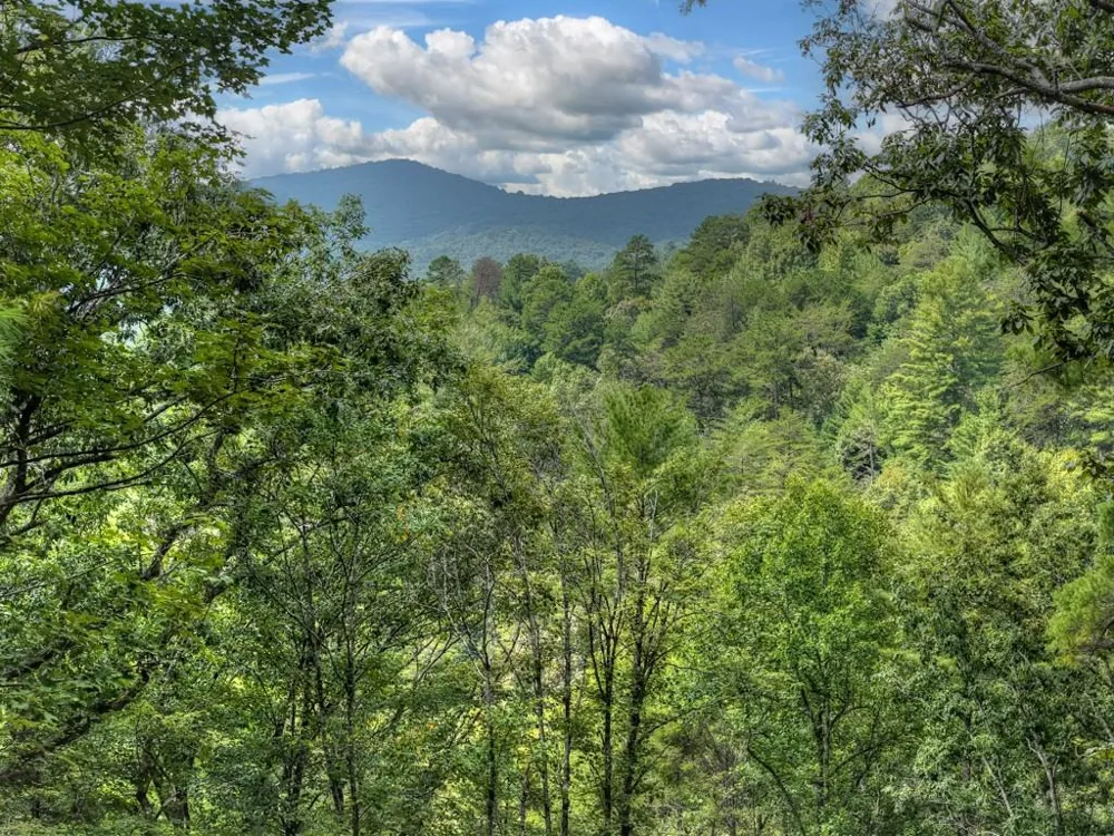 1821 Stanley Creek Road Cherry Log, GA 30522