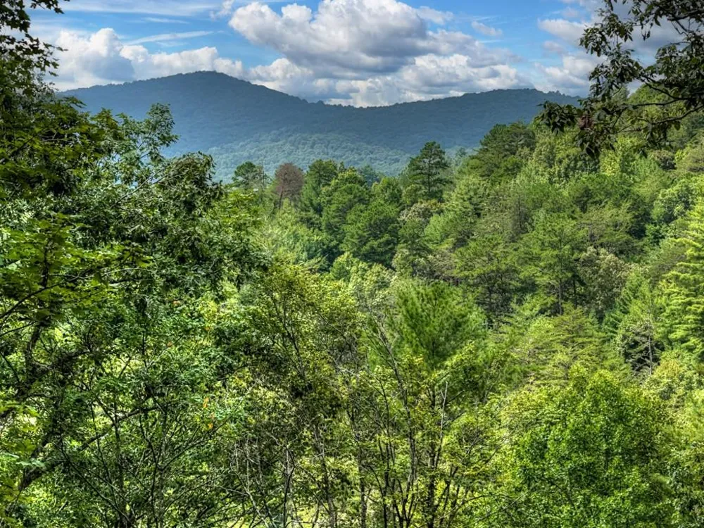1821 Stanley Creek Road Cherry Log, GA 30522