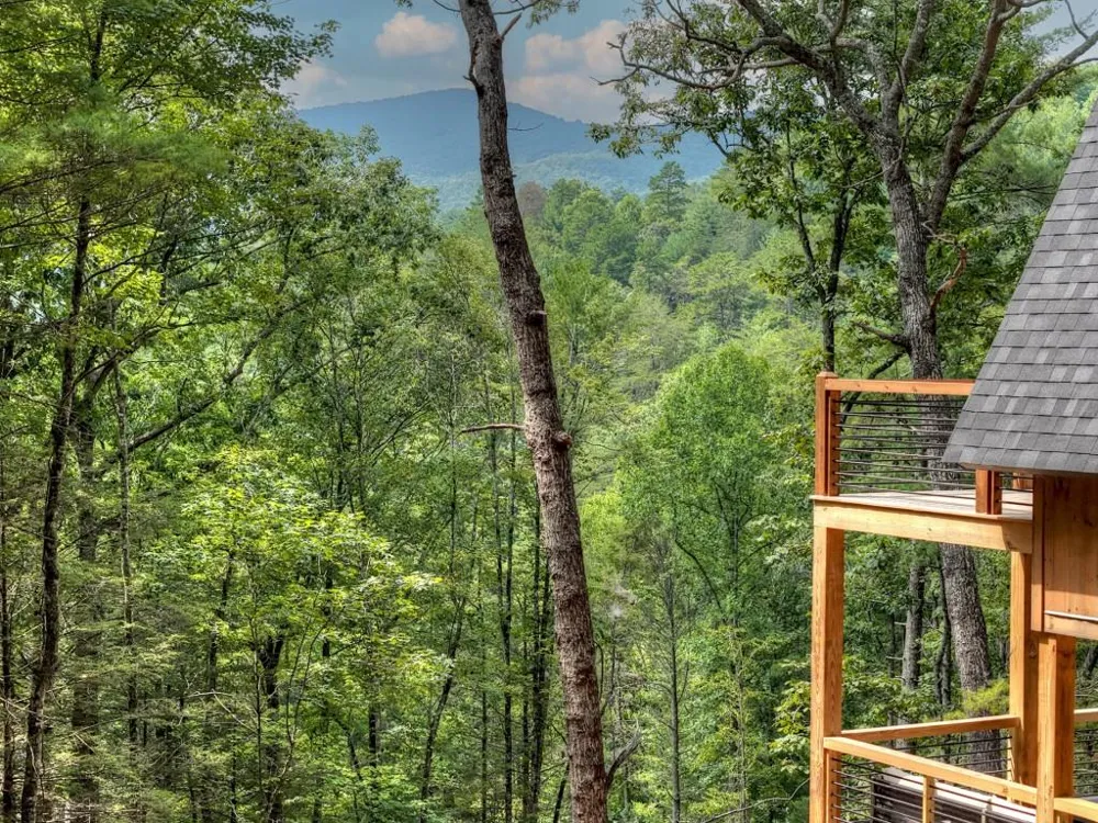 1821 Stanley Creek Road Cherry Log, GA 30522