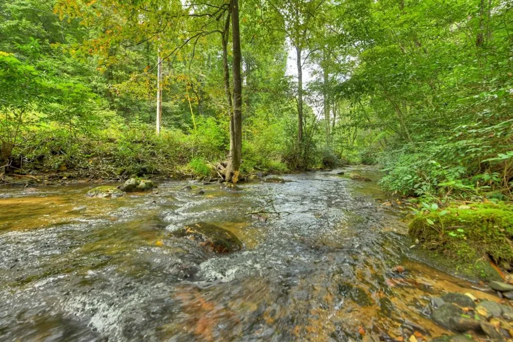 1821 Stanley Creek Road Cherry Log, GA 30522