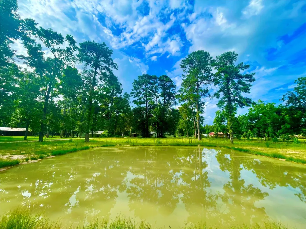 14733 Calhoun Main House Road Conroe, TX 77302