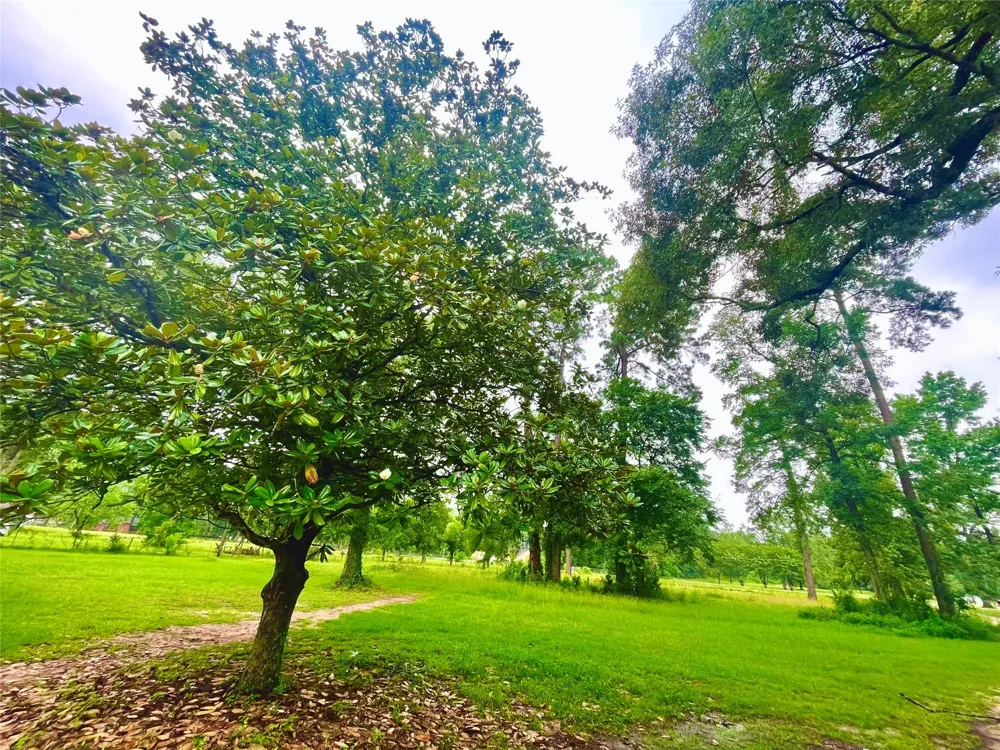 14733 Calhoun Main House Road Conroe, TX 77302