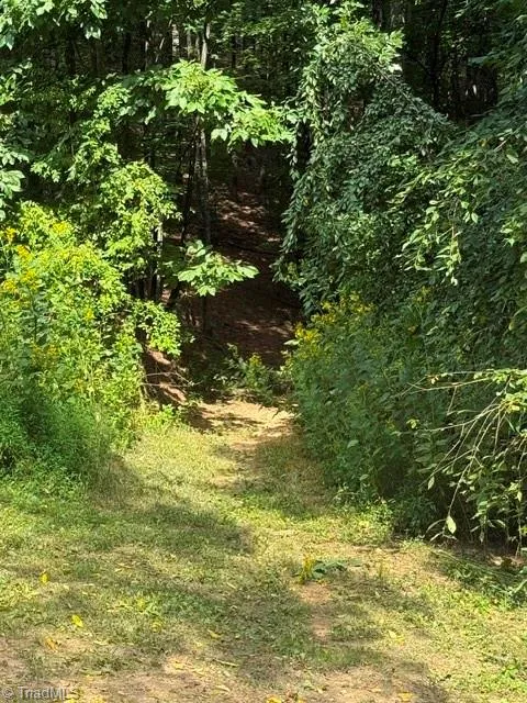 2272 Shoe Road Millers Creek, NC 28651