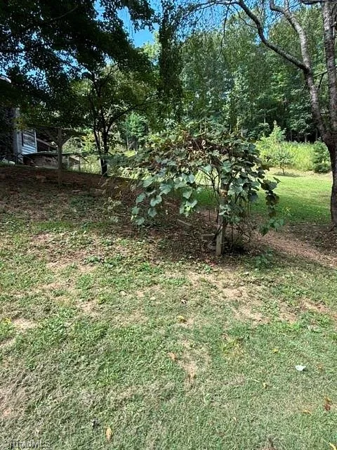 2272 Shoe Road Millers Creek, NC 28651