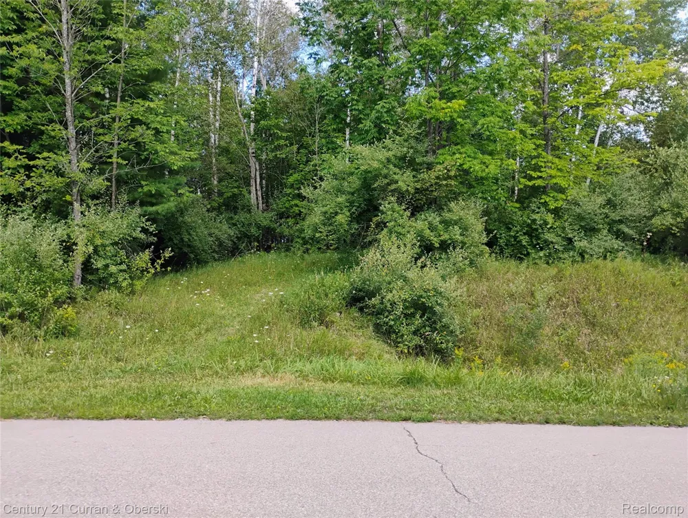 187 Greensboro Way Butman Township, MI 48624