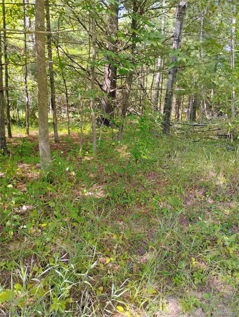 187 Greensboro Way Butman Township, MI 48624