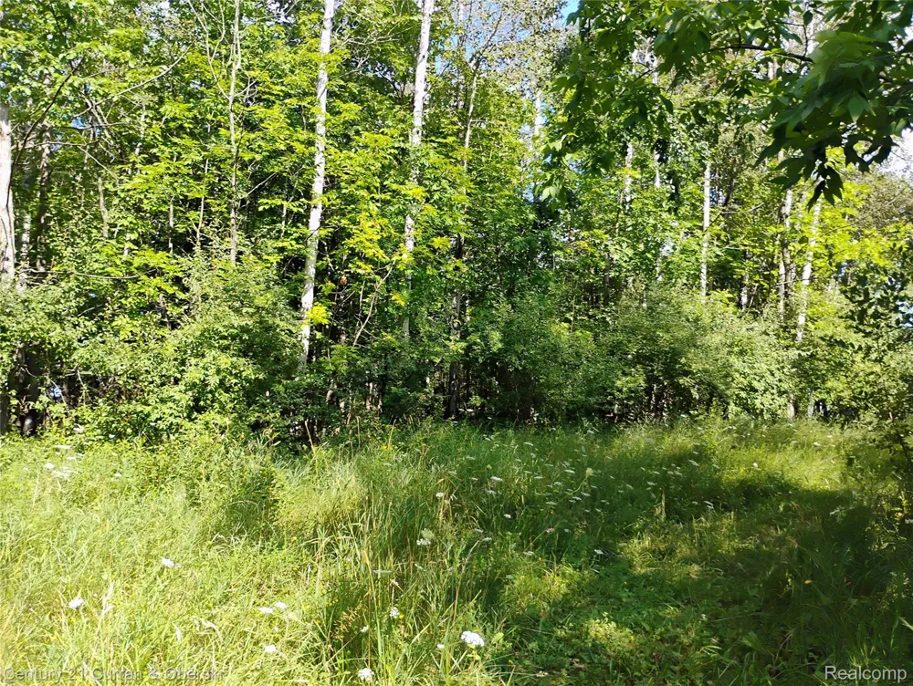 187 Greensboro Way Butman Township, MI 48624