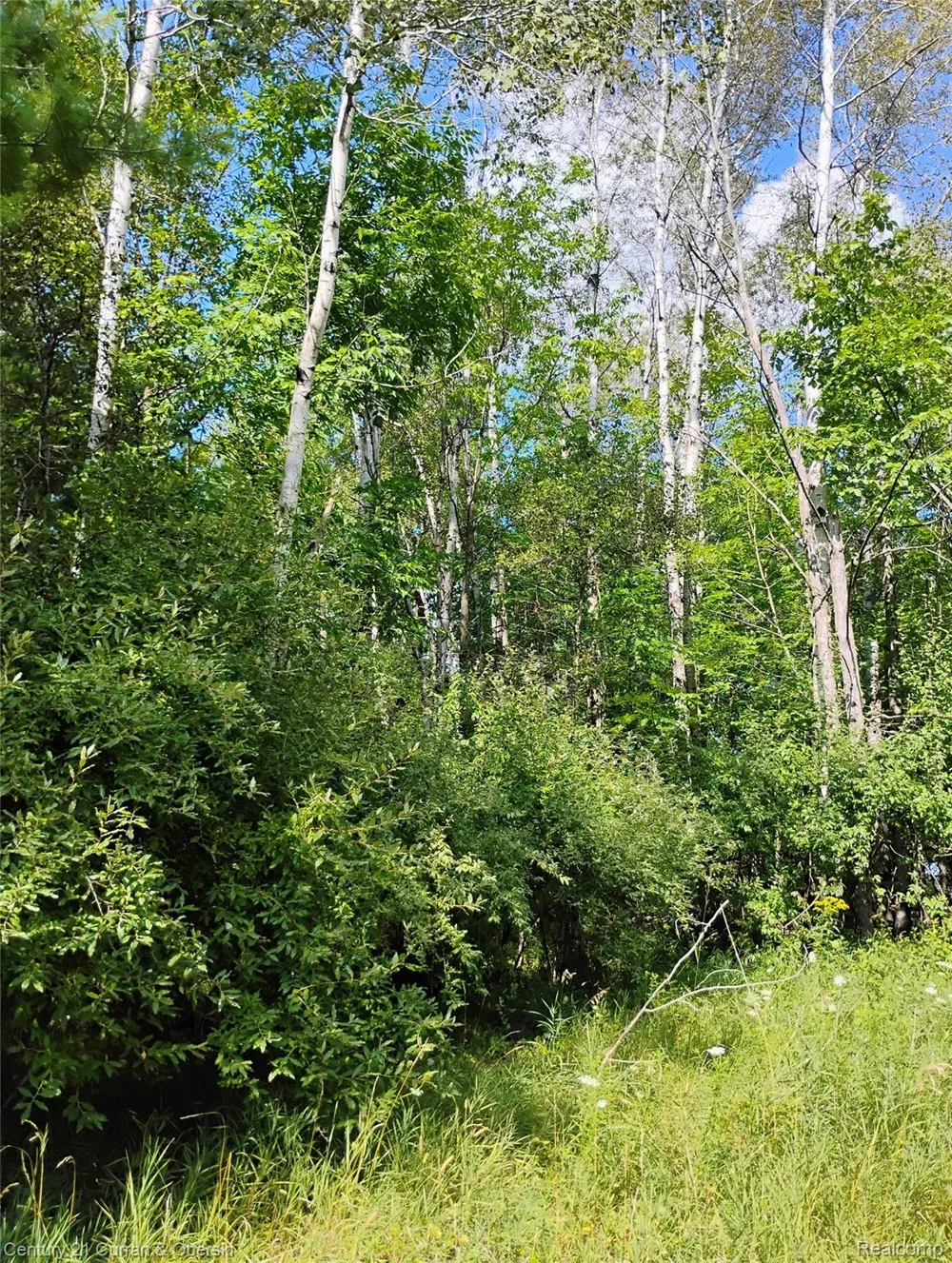 187 Greensboro Way Butman Township, MI 48624