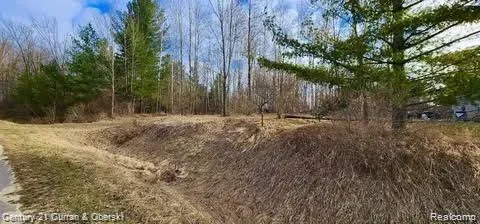 187 Greensboro Way Butman Township, MI 48624