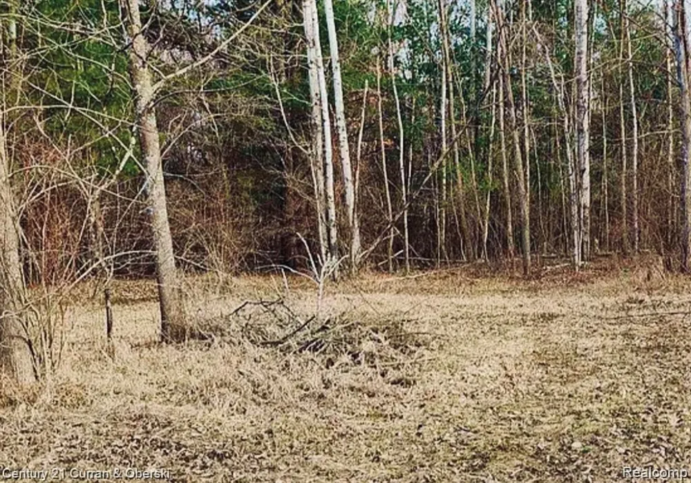 187 Greensboro Way Butman Township, MI 48624
