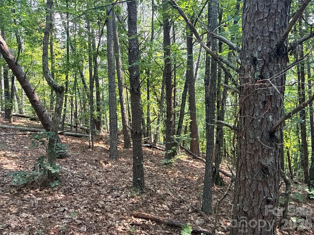 242 Golden Creek Ridge Union Mills, NC 28167