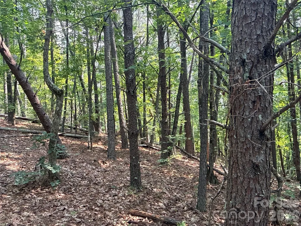 242 Golden Creek Ridge Union Mills, NC 28167