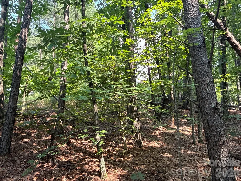 242 Golden Creek Ridge Union Mills, NC 28167
